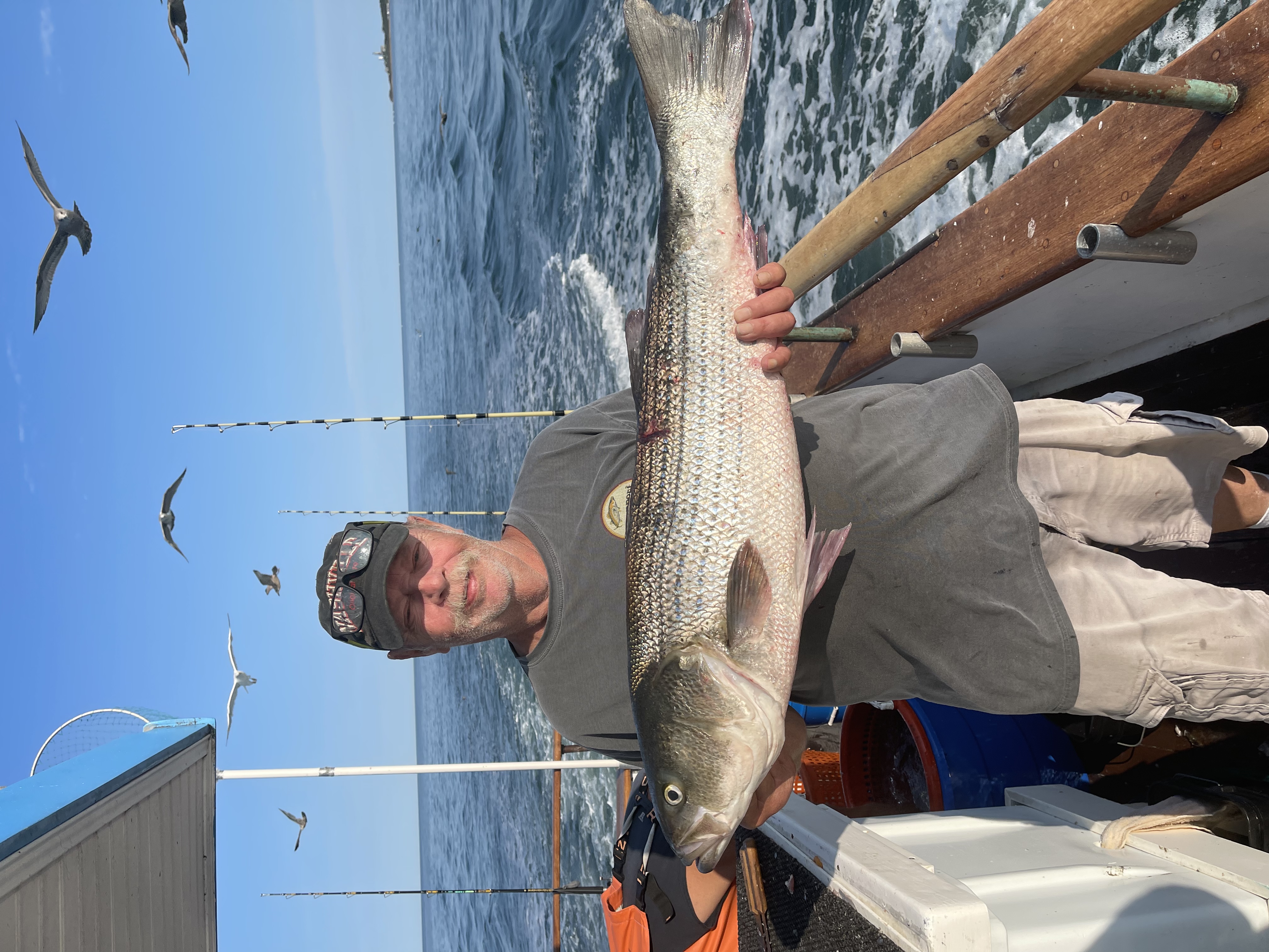 3/4 Day Jumbo Fluke & Seabass