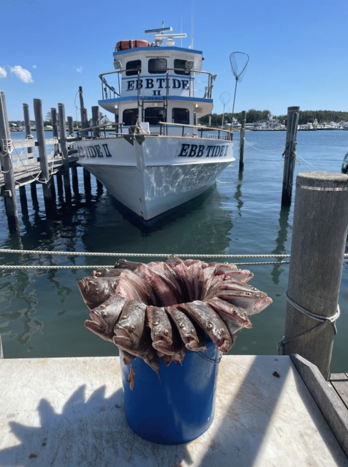 Block Island Friday Fish-tacular